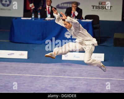 St. Petersburg, Russland. 26. Oktober 2013. Zweiten Weltkrieg Combat Spiele. Wushu. Endgültige © Andrew Shlykoff/Alamy Live-Nachrichten Stockfoto