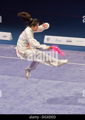 St. Petersburg, Russland. 26. Oktober 2013. Zweiten Weltkrieg Combat Spiele. Wushu. Endgültige © Andrew Shlykoff/Alamy Live-Nachrichten Stockfoto