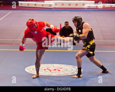 St. Petersburg, Russland. 26. Oktober 2013. Zweiten Weltkrieg Combat Spiele. Wushu. Endgültige © Andrew Shlykoff/Alamy Live-Nachrichten Stockfoto