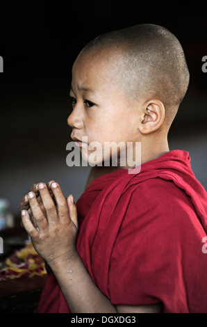 Buddhistische Anfänger beten in einem Kloster, Myanmar, Birma, Südostasien, Asien Stockfoto