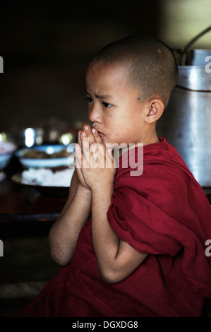 Buddhistische Anfänger beten in einem Kloster, Myanmar, Birma, Südostasien, Asien Stockfoto