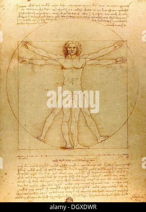 Der vitruvianische Mensch - von Leonardo da Vinci, 1490 Stockfoto