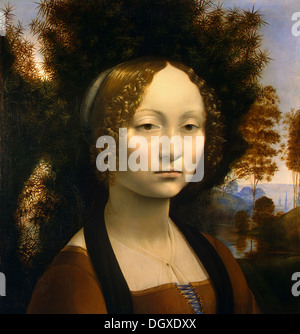 Ginevra de' Benci - von Leonardo da Vinci, 1478 Stockfoto