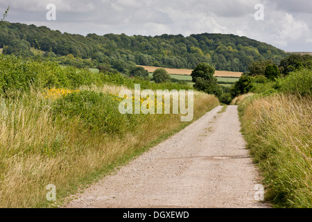 Ruhigen Landstraße mit Hecken und Straßenrändern, auf Kalk; Südseite der Salisbury Plain, Shipton Bellinger, Hants. Stockfoto