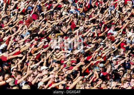 Tallahassee, FL, USA. 26. Oktober 2013. Florida State Seminolen Ventilatoren führen die Tomahawk-Chop während des Spiels zwischen der NC State Wolffpack und der Florida State Seminolen Doak S. Campbell Stadium. Florida State besiegt NC State 49-17. © Cal Sport Media/Alamy Live-Nachrichten Stockfoto