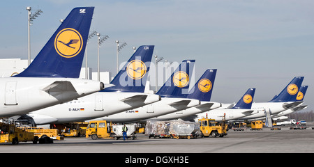 Passagierflugzeuge der deutschen Fluggesellschaft Lufthansa Stellung am Terminal 2 am Flughafen München, Bayern Stockfoto