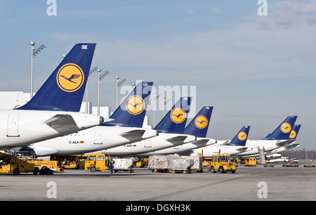 Passagierflugzeuge der deutschen Fluggesellschaft Lufthansa Stellung am Terminal 2 am Flughafen München, Bayern Stockfoto