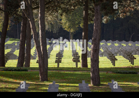 Zeilen von Grabsteinen auf dem deutschen Soldatenfriedhof in Ysselsteyn in den Niederlanden Stockfoto