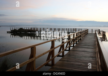 Federsee See, Federsee-See-Promenade-Pier, brechen der Morgenröte, Naturschutzgebiet in Oberschwaben, Landkreis Biberach Stockfoto