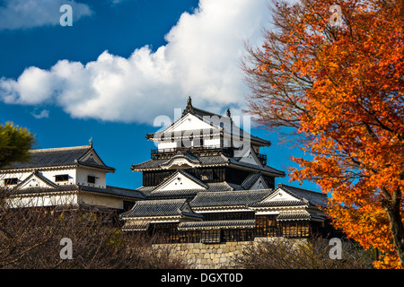 Matsuyama Schloss in Matsuyama, Japan. Stockfoto