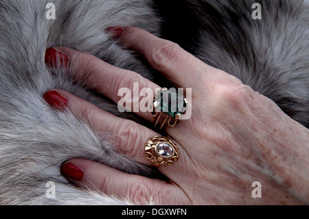 Hand einer alten Frau mit rot bemalten Nägel und Ringe liegend auf einem Pelzmantel, detail Stockfoto