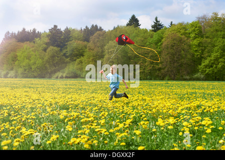 Junge läuft mit Kite auf Löwenzahn Wiese, Starnberg, Upper Bavaria, Bavaria, Germany Stockfoto