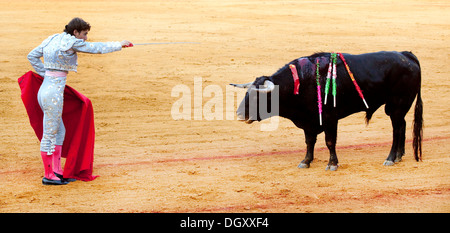 Torero, Matador mit Stier vor den tödlichen Schlag mit seinem Rapier, Plaza de Toros De La Maestranza Stierkampfarena, Sevilla, Andalusien Stockfoto