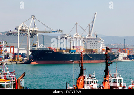 Frachtschiff, MSC Uruguay, im Hafen von Koper, Slowenien, Europa, Koper, slowenischen Küstenland, Slowenien entladen wird Stockfoto