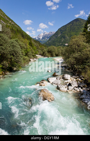 Soča im Soca-Tal im Triglav National Park, Julischen Alpen, in der Nähe von Bovec, Slowenien, Europa Stockfoto