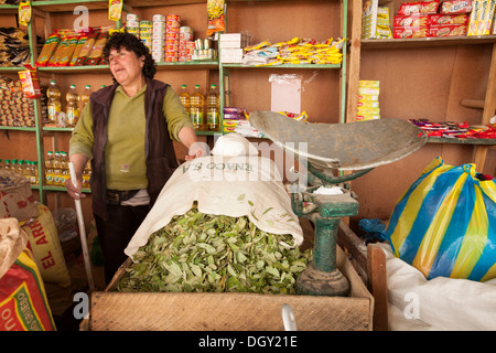 Frau verkaufen Koka Blätter auf dem Markt in Celendin, Cajamarca, Peru, Südamerika Stockfoto