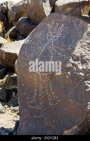 Petroglyphen im Abschnitt Boca Negra Canyon des Petrogrlyph National Monument, Albuquerque, New Mexico, USA Stockfoto
