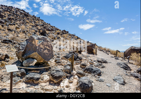 Petroglyph auf Mesa Point Trail in Boca Negra Canyon Abschnitt der Petrogrlyph National Monument, Albuquerque, New Mexico, USA Stockfoto