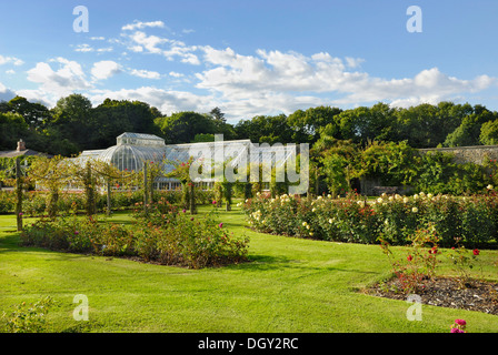 Viktorianischen Glas-Gewächshaus in einem Rosengarten im Park von Schloss Ardgillan in Skerries, County Dublin, Republik Irland Stockfoto