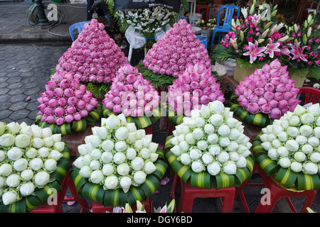 Lotusblumen zum Verkauf am Psar Thmei Markt, Phnom Penh, Kambodscha Stockfoto