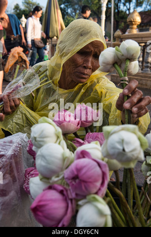 Lotusblumen zum Verkauf am Psar Thmei Markt, Phnom Penh, Kambodscha Stockfoto