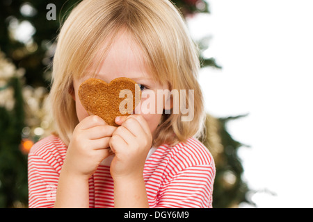 Ein netter junge spähen hinter einer Liebe geformt Lebkuchen vor einem Weihnachtsbaum. Isoliert auf weiss. Stockfoto