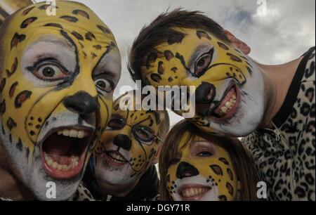 London, Brent, UK. 27. Oktober 2013. Die 49ers, Super Bowl Vizemeister der letzten Saison, erzielte sechs Touchdowns in einem 42-10 Sieg spielte im Londoner Wembley Stadion © Gail Orenstein/ZUMAPRESS.com/Alamy Live-Nachrichten Stockfoto