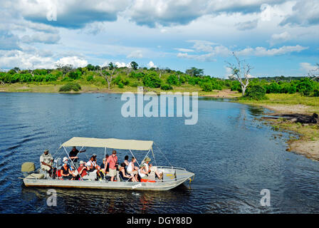 Safari auf dem Chobe Fluss, Bootsfahrt mit Touristen in den Chobe National Park in der Nähe von Kasane in Botswana, Afrika Stockfoto