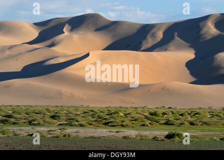 Üppigen grünen Rasen Landschaft vor den großen Sanddünen Khorgoryn Els in der Wüste Gobi, Gurvan Saikhan Nationalpark Stockfoto