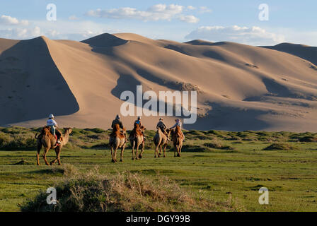 Touristen auf Kamel reiten durch ein sattes Grün grass Landschaft in Richtung der großen Khorgoryn Els Sanddünen in der Wüste Gobi Stockfoto