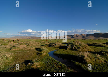 Frische Flüsschen schlängelt sich durch die üppigen grünen Rasen Landschaft vor den großen Sanddünen Khorgoryn Els in der Gobi Stockfoto