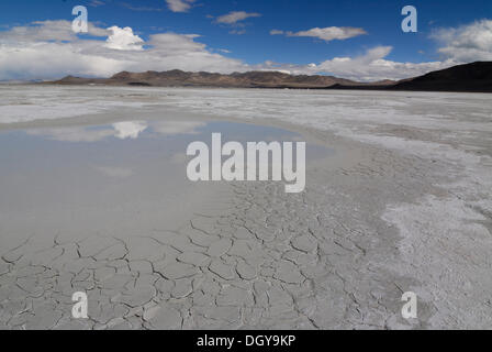 Salzsee im Drangyer Salz Feld Drangyer Tsaka, in dem Changtang Hochplateau, Westtibet, Provinz Ngari, Tibet, China Stockfoto