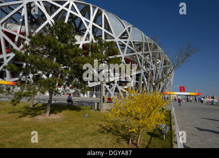 Beijing Olympic Stadium, Nationalstadion, Vogelnest, Olympischen Grün Olympiapark, Peking, China, Asien Stockfoto