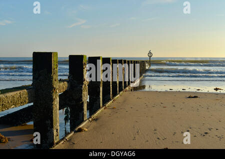 Wellenbrecher auf dem Strand, Aberdeen, Schottland, Vereinigtes Königreich, Europa Stockfoto