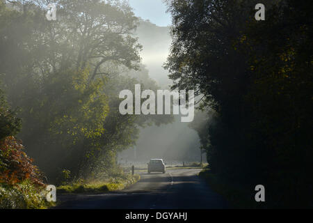 Auto fahren auf einer lichtdurchfluteten Herbst Straße in die Highlands, Gairloch, Wester Ross, Schottland, Vereinigtes Königreich, Europa Stockfoto