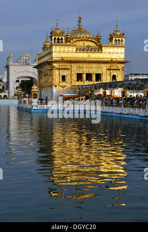 Sikh-Heiligtum Harmandir Sahib oder goldenen Tempel in Amrit Sagar, See von Nektar, Amritsar, Punjab, Nordindien, Indien, Asien Stockfoto