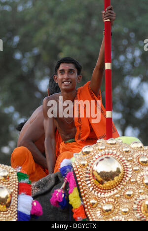 Pujari sitzen auf einem Elefanten zurück, Hindu Pooram Festivals, Thrissur, Kerala, Südindien, Asien Stockfoto