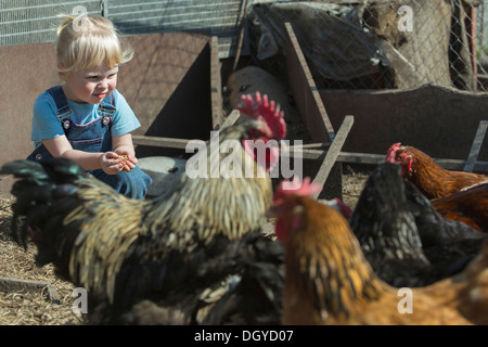 Bauernmädchen mit Vogelfutter, Hühner im Hühnerstall Stockfoto