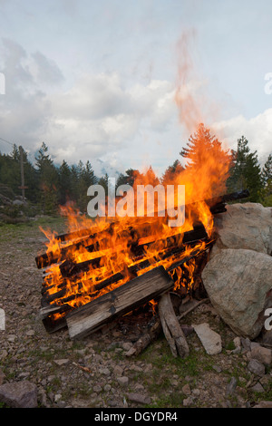 Holzplatten in einem großen Feuer brennen Stockfoto