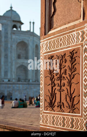 Floralen Relief in Sandstein, Taj Mahal-Mausoleum, UNESCO-Weltkulturerbe, Agra, Uttar Pradesh, Indien Stockfoto
