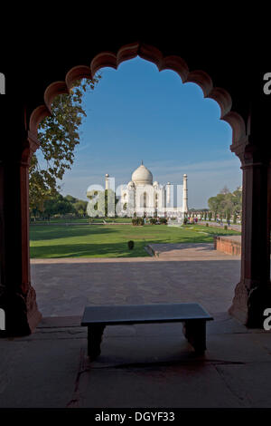 Taj Mahal-Mausoleum, UNESCO Weltkulturerbe, betrachtet durch einen Torbogen, Agra, Uttar Pradesh, Indien Stockfoto