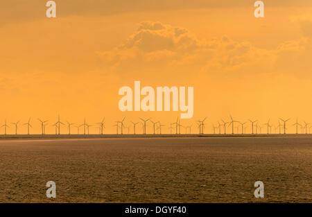 Nysted Havmøllepark oder Rødsand, Offshore-Windpark, Baltic Sea, Nysted, Lolland, Dänemark Stockfoto