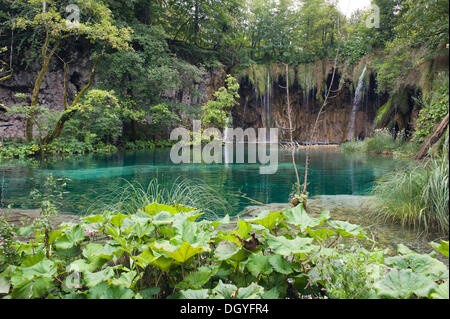 Wasserfall im Nationalpark Plitvicer Seen, UNESCO-Weltkulturerbe, Plitvicka Jezera, Lika-Senj, Kroatien, Europa Stockfoto