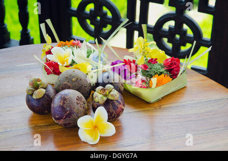 Lila Mangostan Früchte (Garcinia Mangostana) mit Frangipani-Blüten, Ubud, Bali, Indonesien Stockfoto