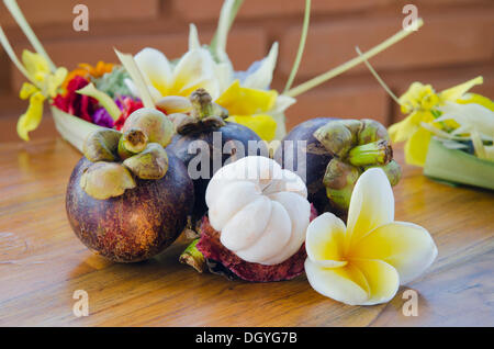 Lila Mangostan Früchte (Garcinia Mangostana) mit Frangipani-Blüten, Ubud, Bali, Indonesien Stockfoto