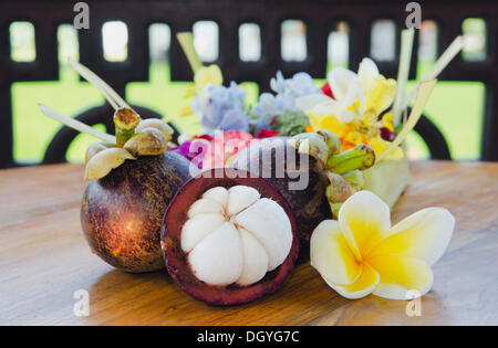 Lila Mangostan (Garcinia Mangostana) mit Frangipani Blüten, Ubud, Bali, Indonesien Stockfoto