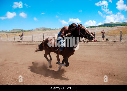 Pferderennen, Tapati Rapa Nui Festival, Osterinsel, Rapa Nui, Polynesien, Südsee, Ozeanien Stockfoto