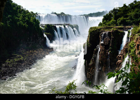 Iguazu Wasserfälle, Flussufer auf der argentinischen Seite Fluss Iguazu, Argentinien, Südamerika Stockfoto