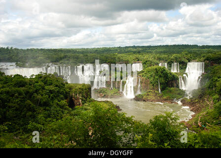 Iguazu Wasserfälle, Flussufer auf der brasilianischen Seite, Fluss Iguazu, Brasilien, Südamerika Stockfoto