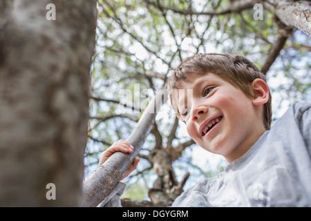 Ein fröhlicher kleiner Junge einen Kletterbaum Stockfoto